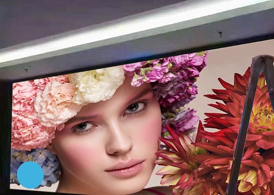 Kleiner InnenBildschirm der Neigungs-P1.25 800CD/㎡ LED